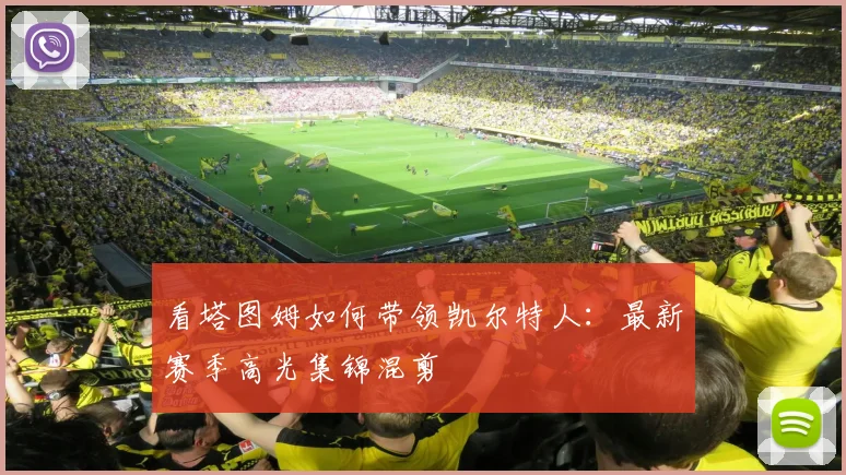 看塔图姆如何带领凯尔特人:最新赛季高光集锦混剪