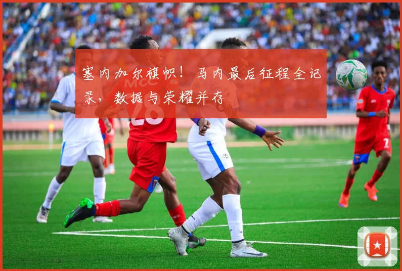 塞内加尔旗帜！马内最后征程全记录，数据与荣耀并存