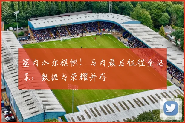 塞内加尔旗帜！马内最后征程全记录，数据与荣耀并存