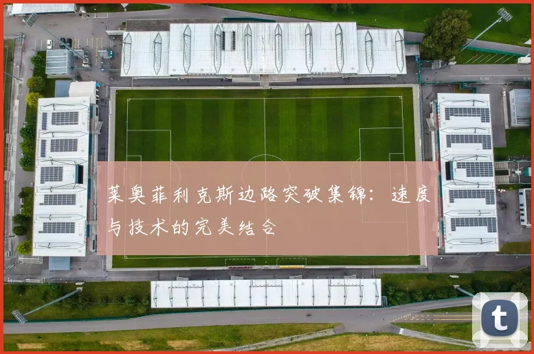莱奥菲利克斯边路突破集锦:速度与技术的完美结合